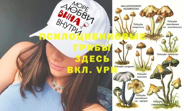 молекула духа Ростов