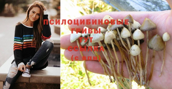 ALPHA PVP Россошь