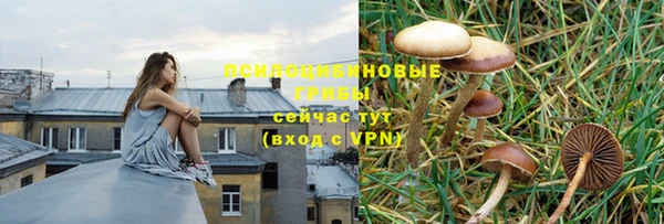 ALPHA PVP Россошь