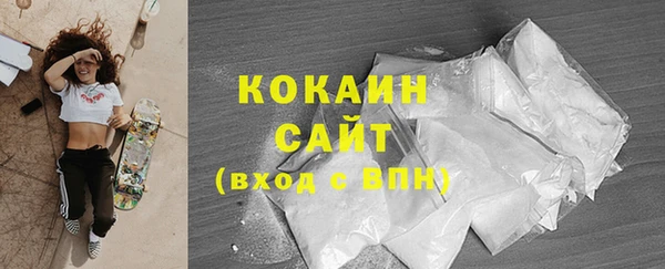 молекула духа Ростов